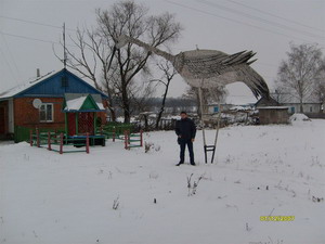 Журавль-мутант из Липецкой области